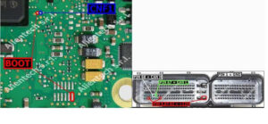 Clonar Pcr2.1 Siemens simos