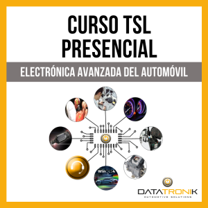 CURSO PRESENCIAL TSL - (Técnico Superior en Laboratorio Electrónico del Automóvil)
